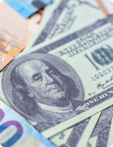 Moedas  em <br>Espécie